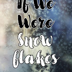 If We Were Snowflakes by Barbara D'Souza