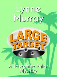 Large Target ebook cover