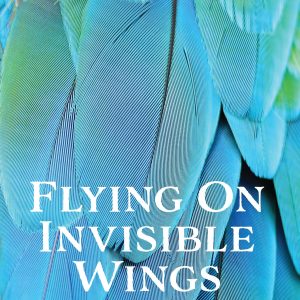 Flying On Invisible Wings PDF ebook